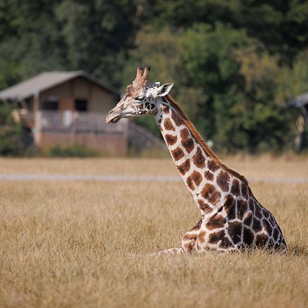Knuthenborg Safaripark Maribo Exterior foto