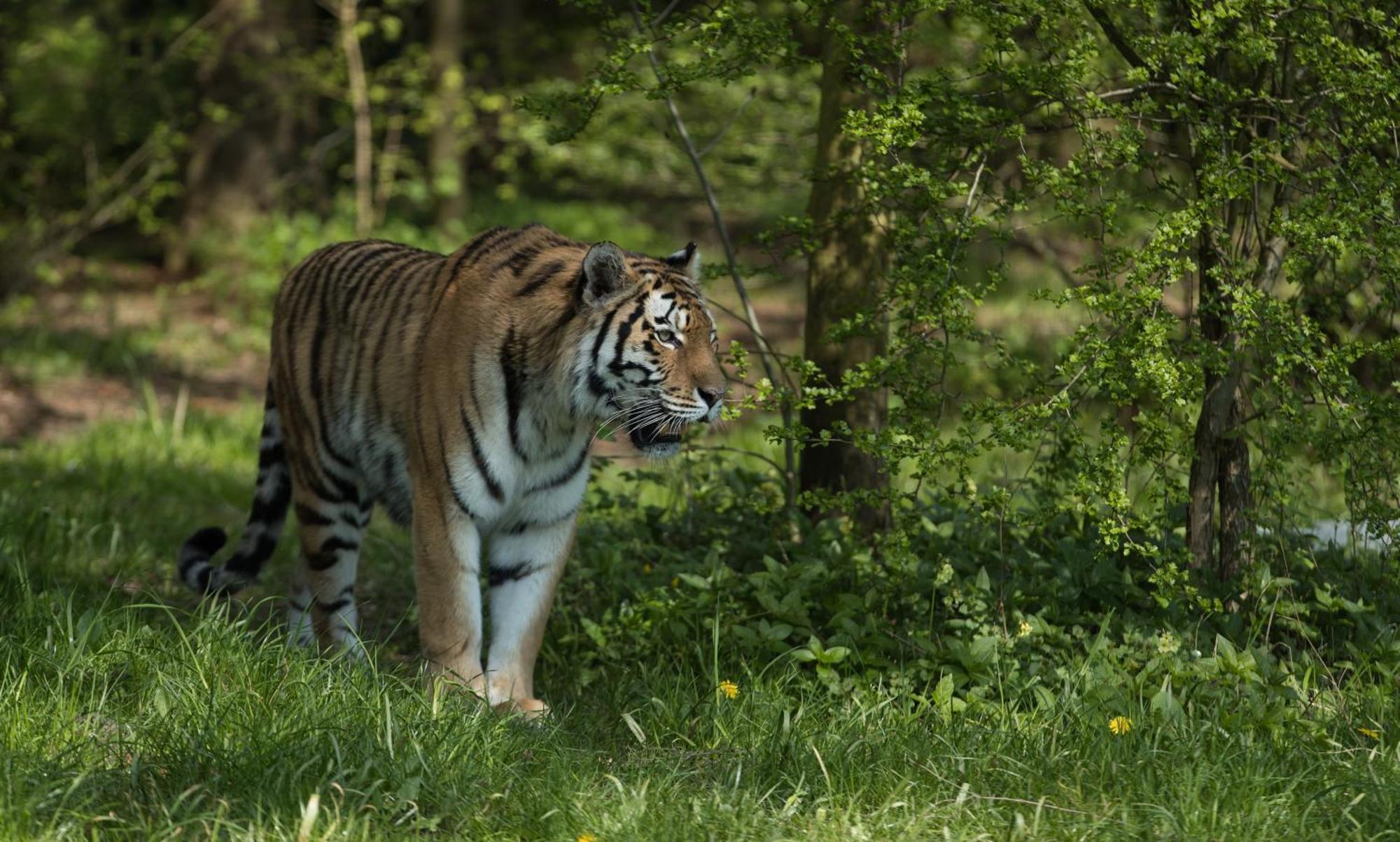 Knuthenborg Safaripark Maribo Exterior foto
