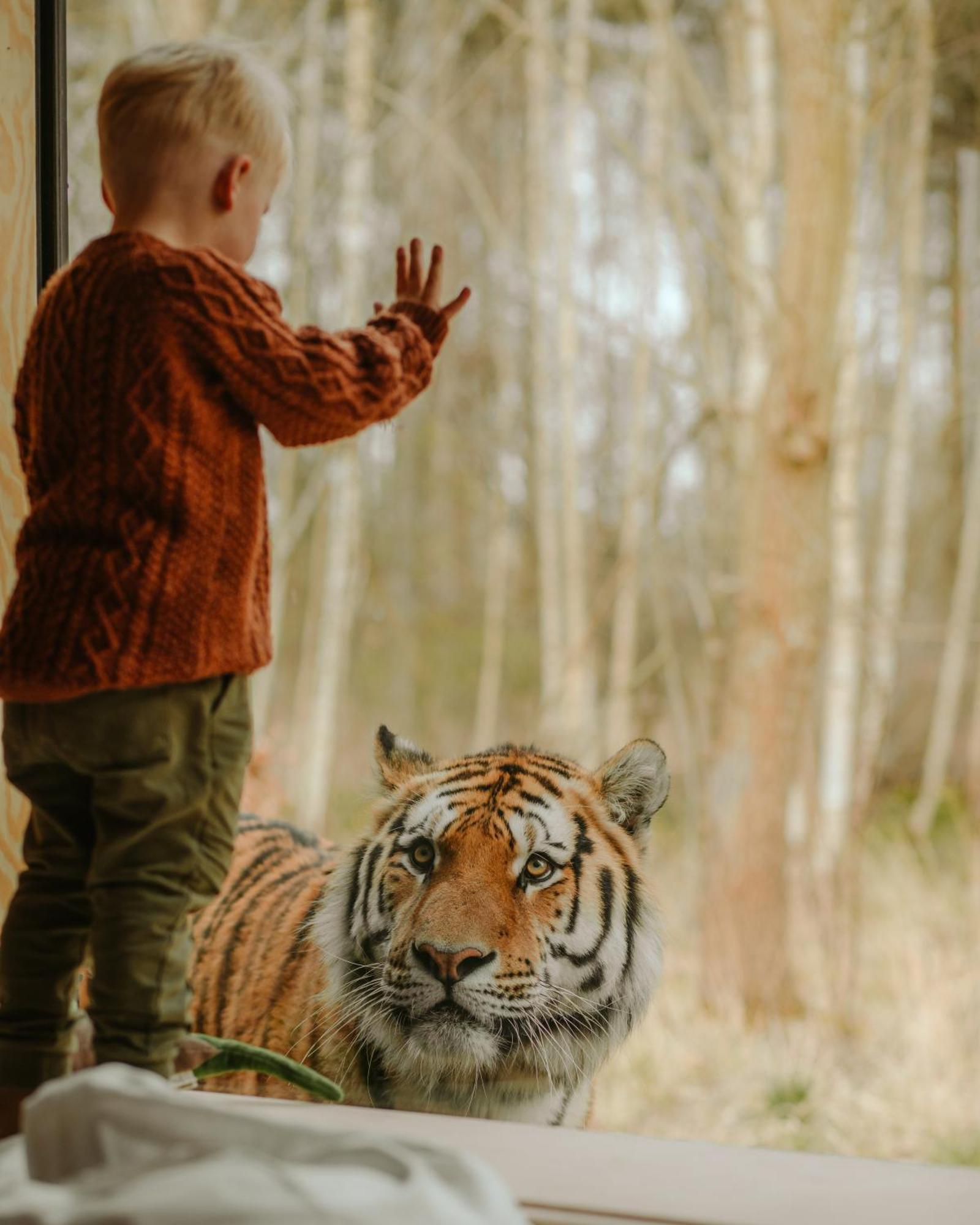Knuthenborg Safaripark Maribo Exterior foto