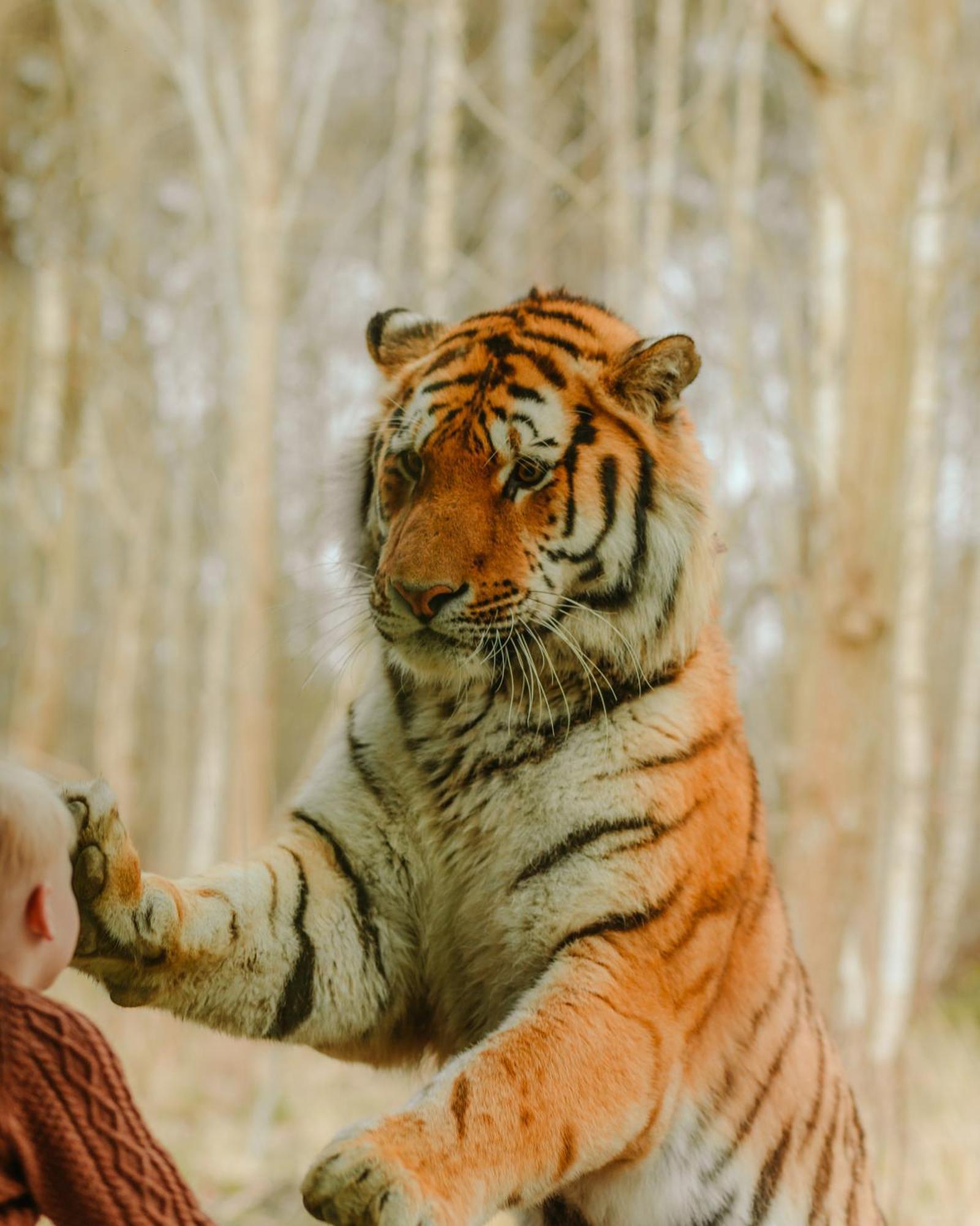 Knuthenborg Safaripark Maribo Exterior foto