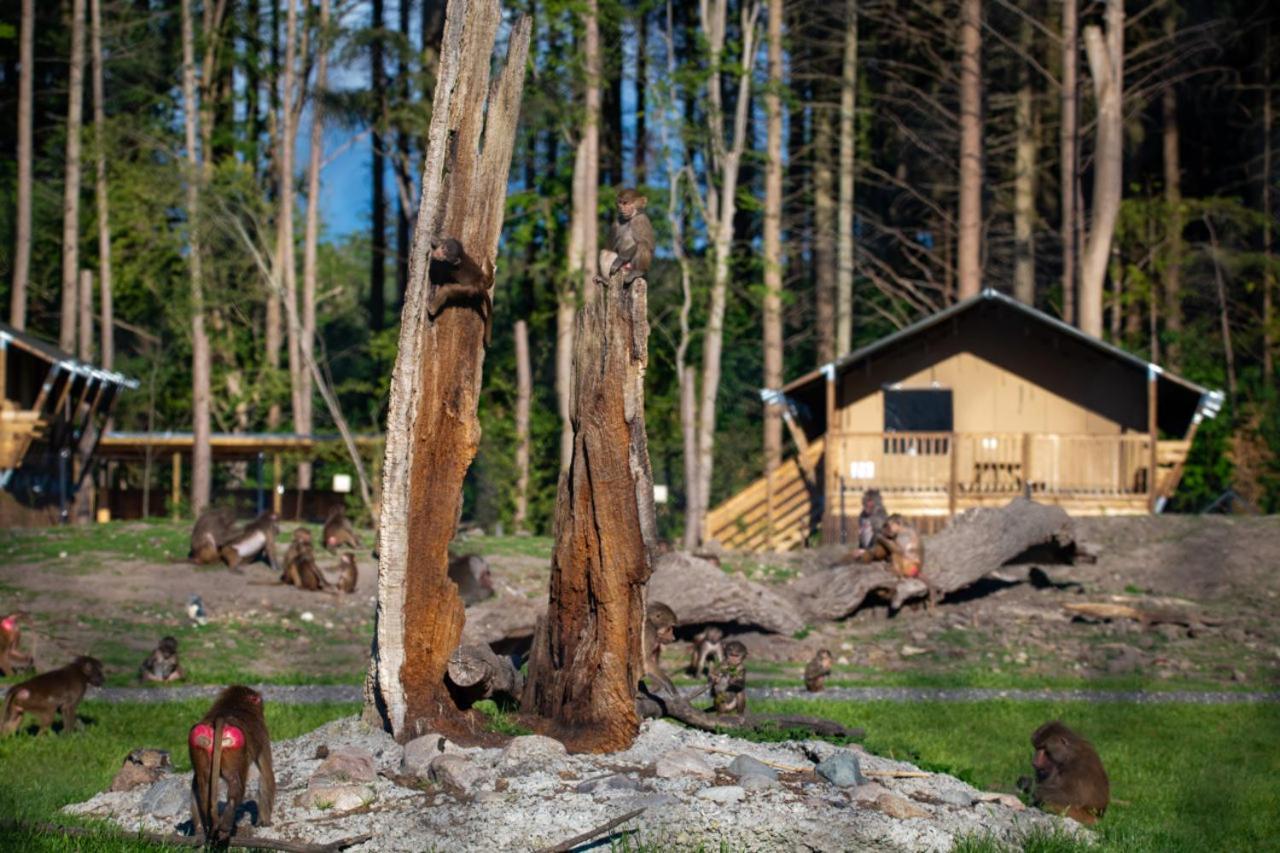 Knuthenborg Safaripark Maribo Exterior foto