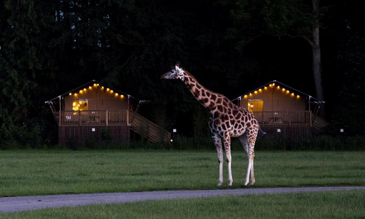 Knuthenborg Safaripark Maribo Exterior foto