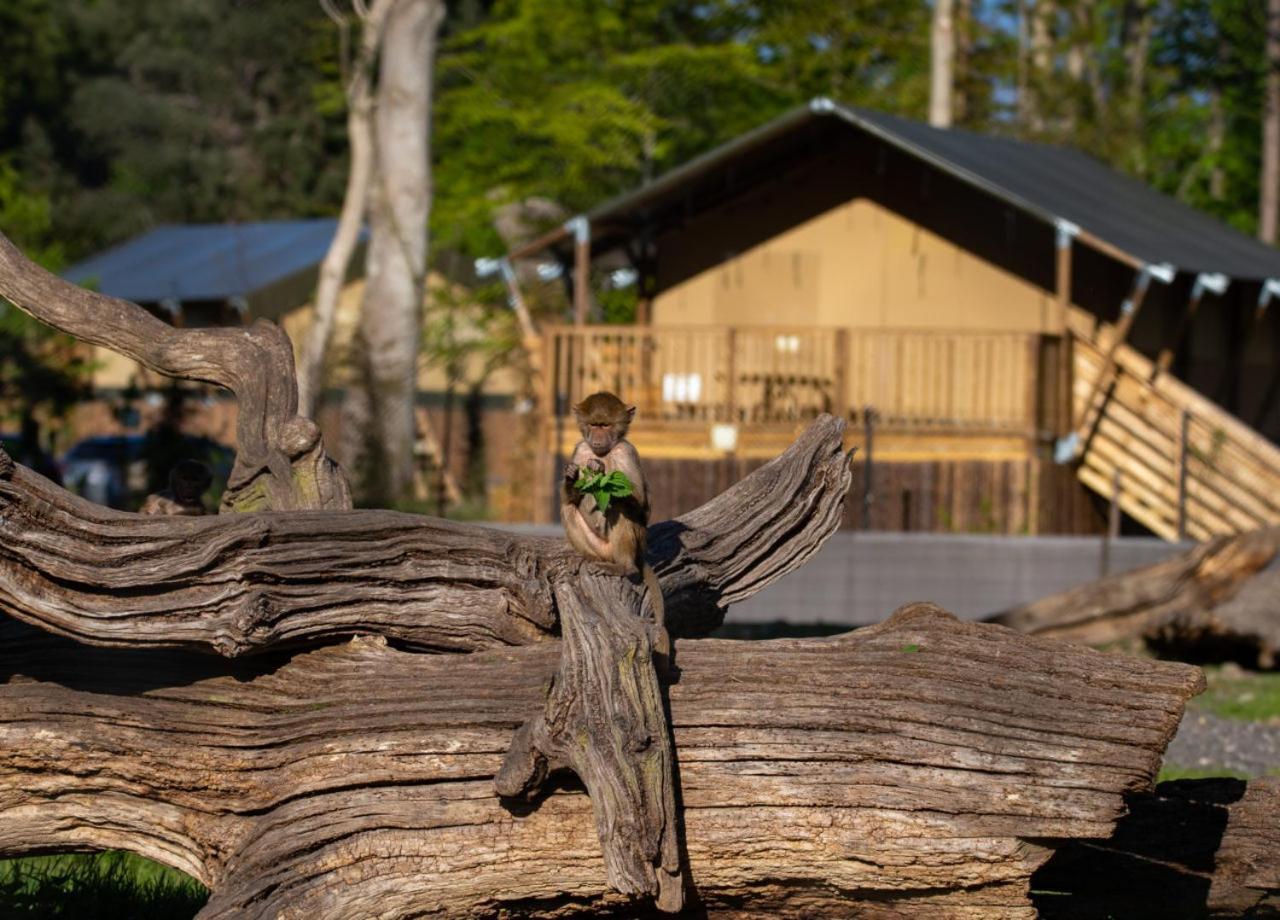 Knuthenborg Safaripark Maribo Exterior foto
