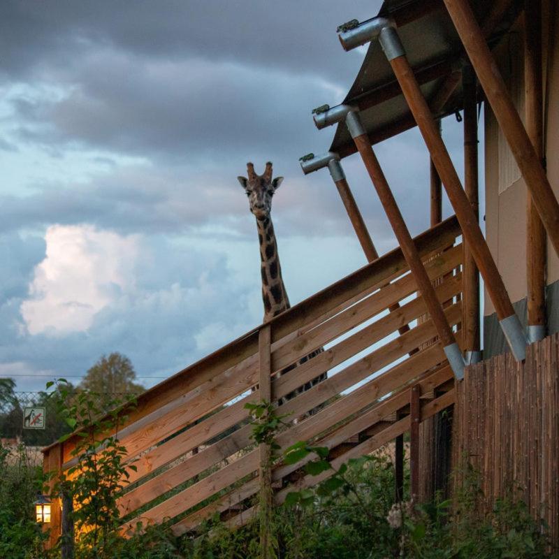 Knuthenborg Safaripark Maribo Exterior foto